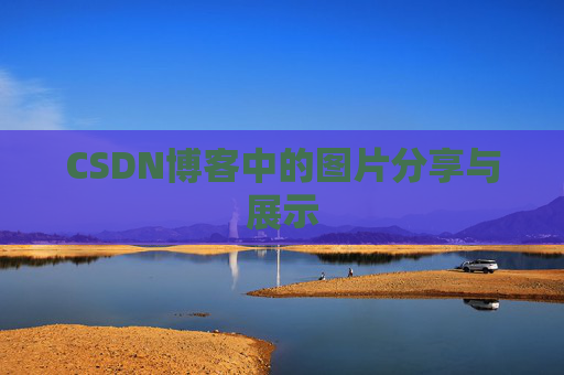 CSDN博客中的图片分享与展示